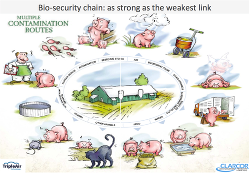 Biosecurity chain pig production - Multiple contamination routes - Clarcor Virus Filtration